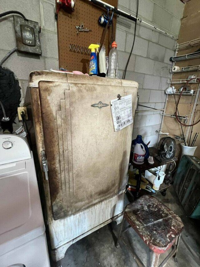 ''Immortal'' Things From The Past (15 pics)