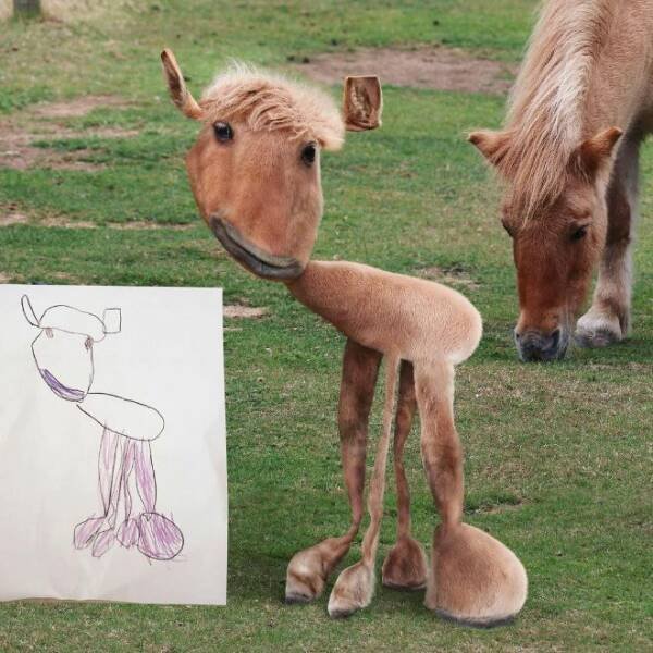 Kids Animal Drawings In Real Life (24 pics)