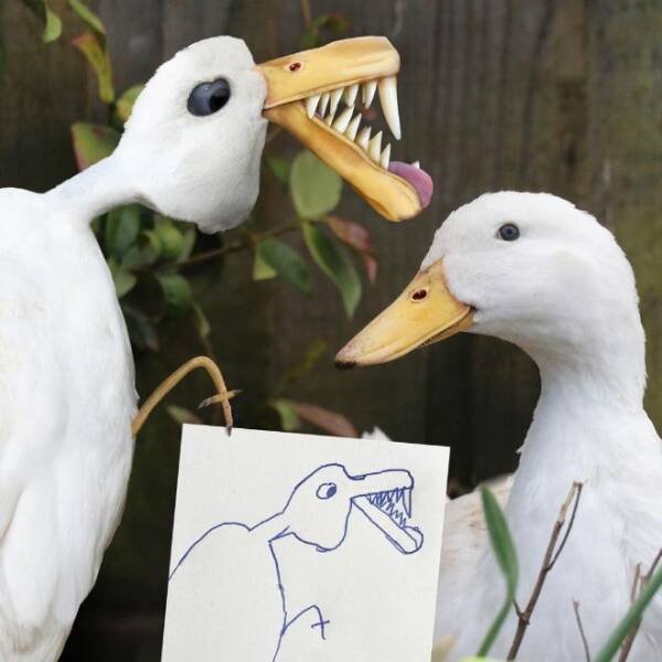 Kids Animal Drawings In Real Life (24 pics)