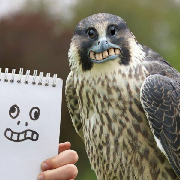 Kids Animal Drawings In Real Life (24 pics)