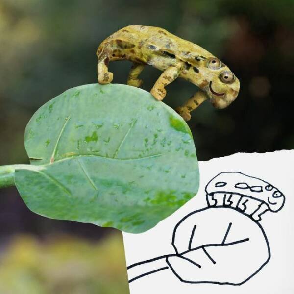 Kids Animal Drawings In Real Life (24 pics)