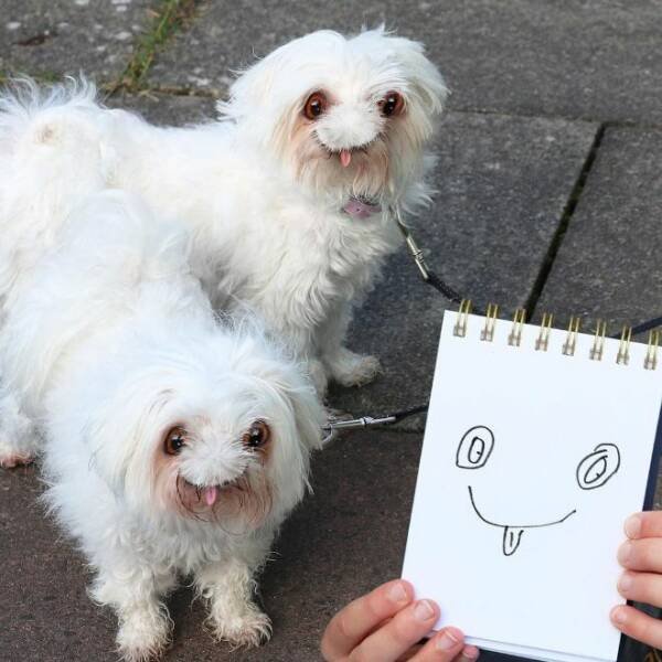 Kids Animal Drawings In Real Life (24 pics)