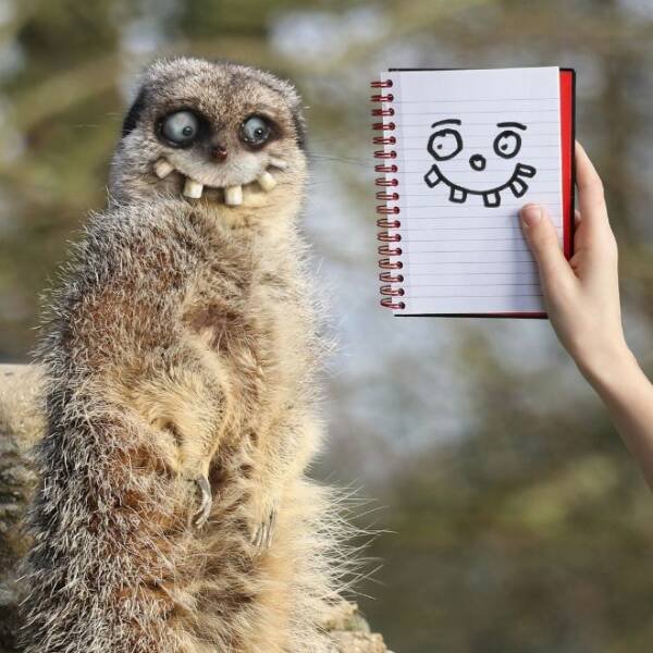 Kids Animal Drawings In Real Life (24 pics)