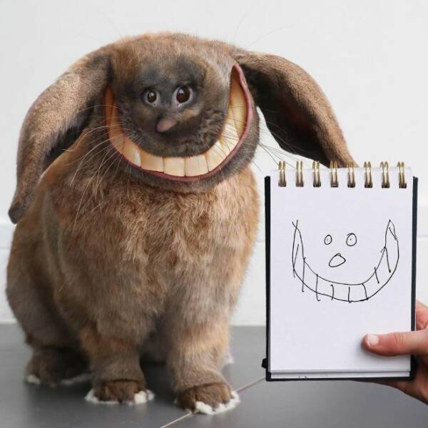 Kids Animal Drawings In Real Life (24 pics)