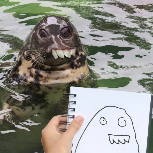 Kids Animal Drawings In Real Life (24 pics)