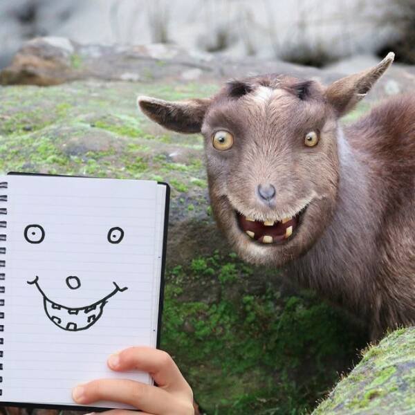 Kids Animal Drawings In Real Life (24 pics)