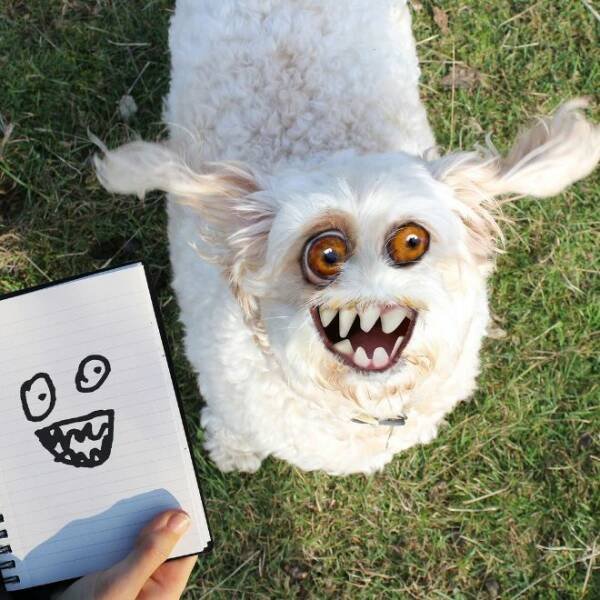 Kids Animal Drawings In Real Life (24 pics)