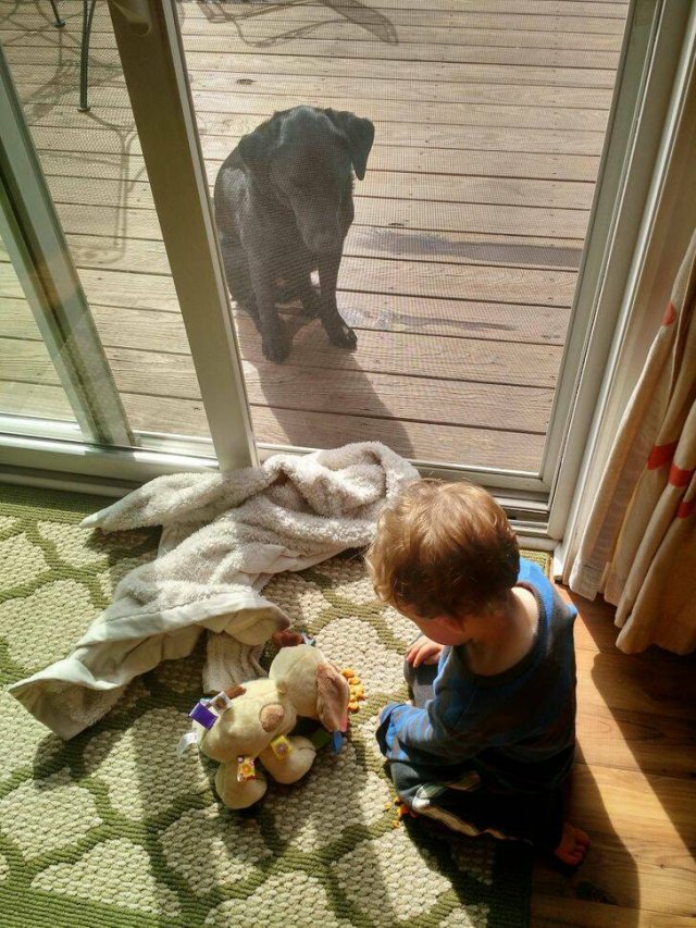 Fun Life With Kids (23 pics) Fun Life With Kids (23 pics)