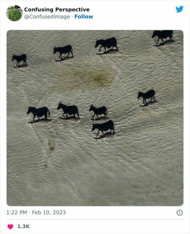 Interesting Optical Illusions (20 pics)