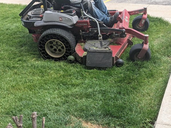 Interesting Finds (17 pics)
