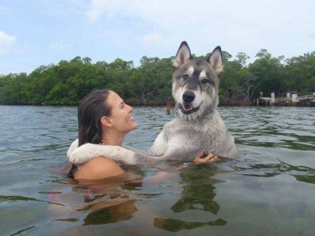 Funny Animals (58 pics)