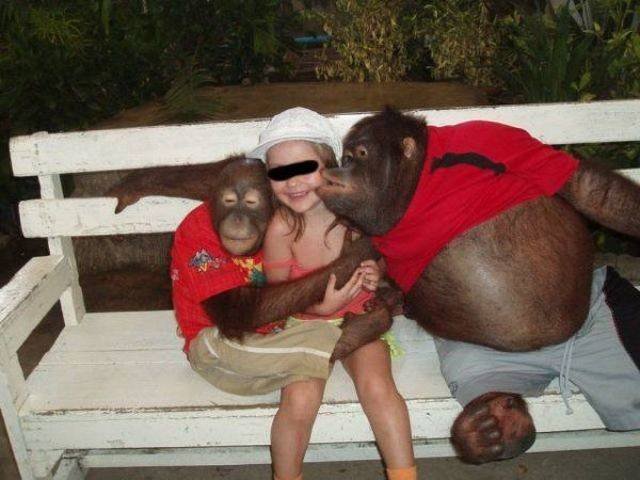 Funny Animals (58 pics)