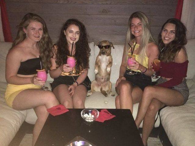 Funny Animals (58 pics)