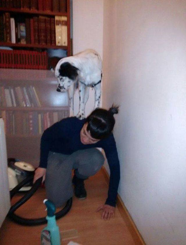 Funny Animals (58 pics)