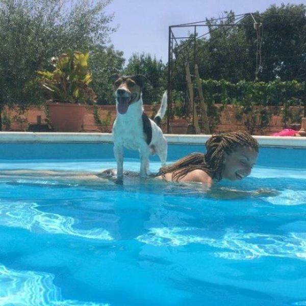 Funny Animals (58 pics)