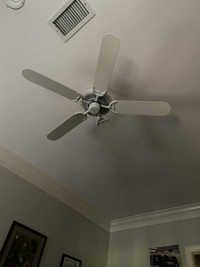 Awesome Finds (20 pics)