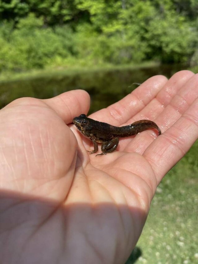 Awesome Finds (20 pics)