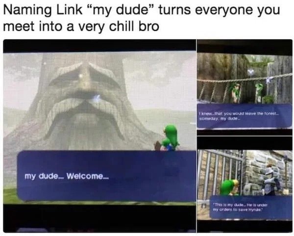 Memes For Gamers (35 pics)