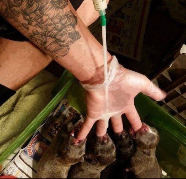 What Is Going On Here? (28 pics)