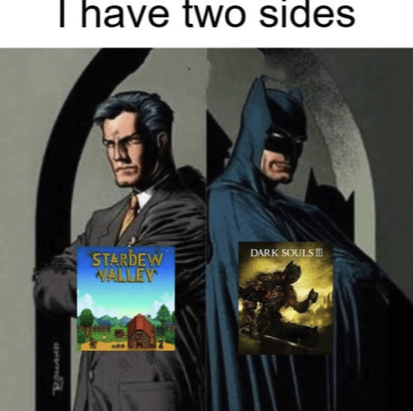 Memes For Gamers (35 pics)