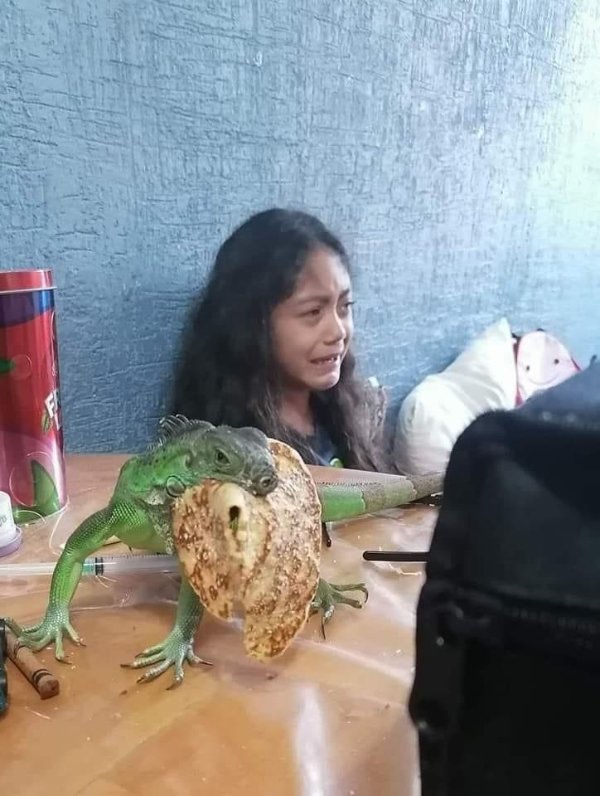 What Is Going On Here? (28 pics)