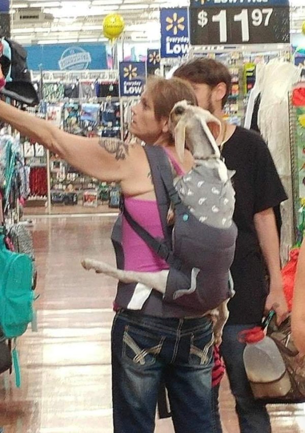 What Is Going On Here? (28 pics)