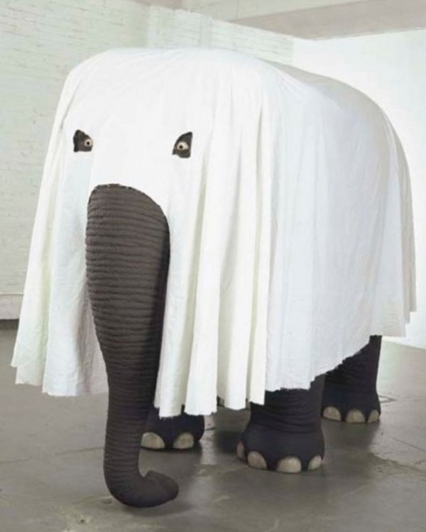 What Is Going On Here? (28 pics)