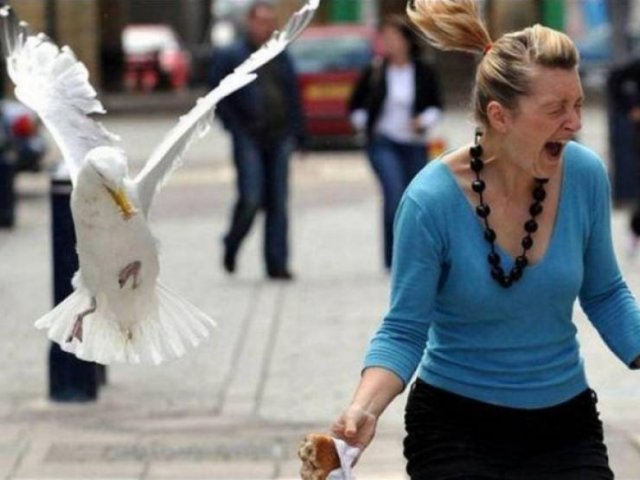 They Need Your Food (27 pics)