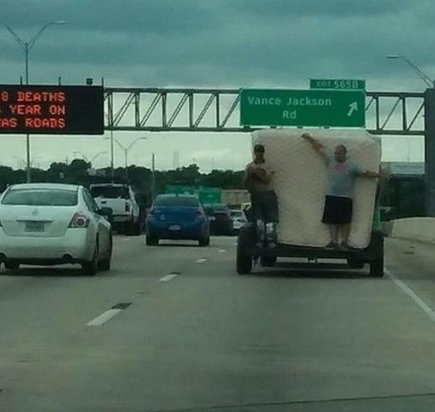 Strange Finds And Situations (55 pics)