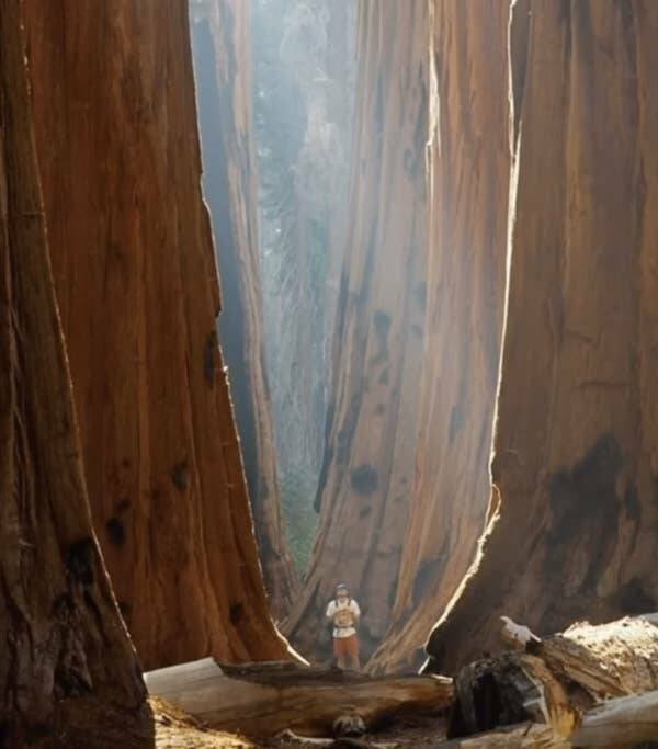 Giant Things (16 pics)