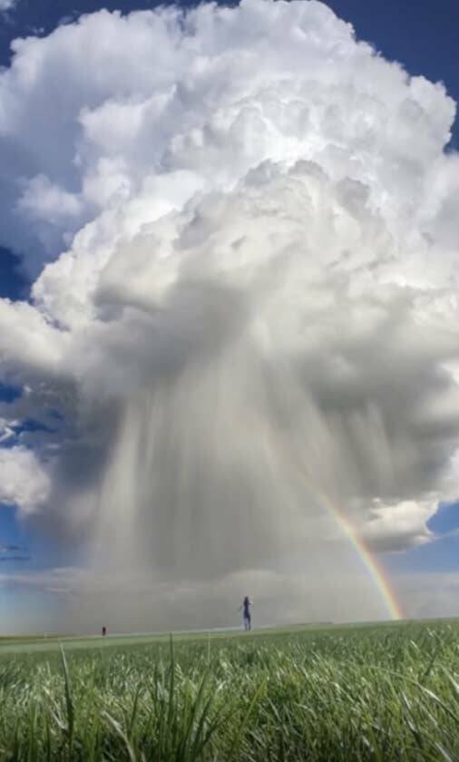 Giant Things (16 pics)