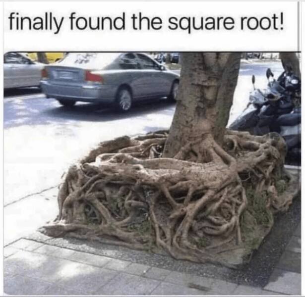 Science Memes (22 pics)