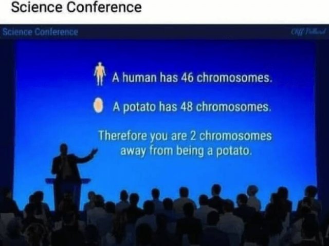 Science Memes (22 pics)