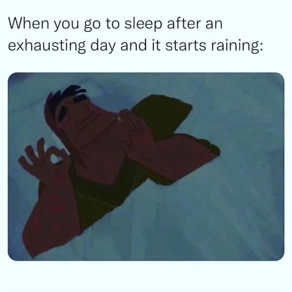 Memes For Introverts (30 pics)