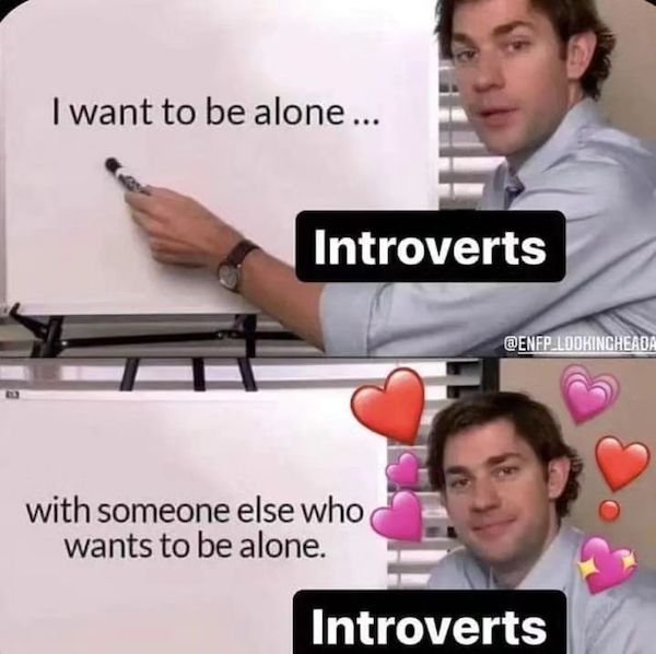 Memes For Introverts (30 pics)
