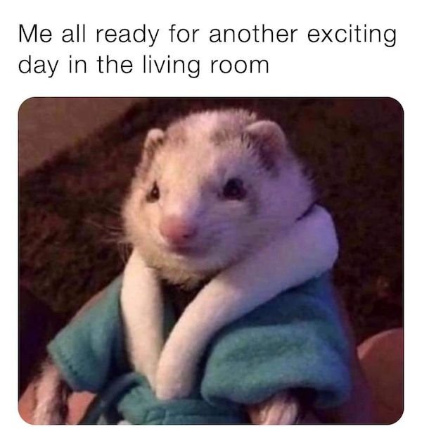 Memes For Introverts (30 pics)