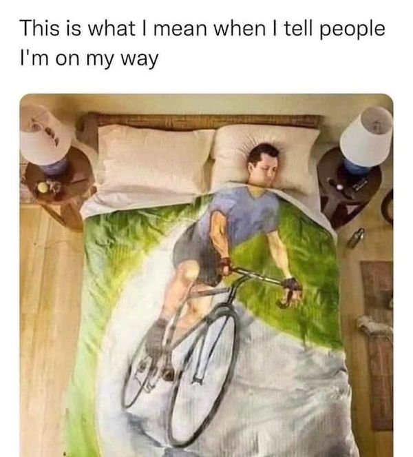 Memes For Introverts (30 pics)