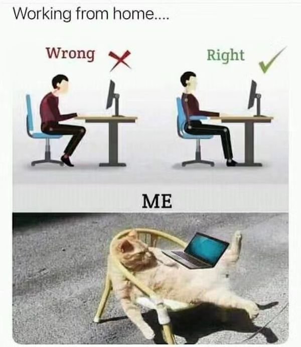 Memes For Introverts (30 pics)