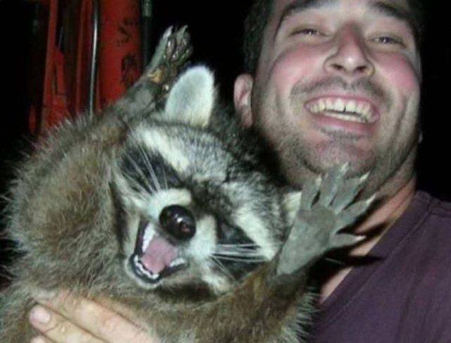 Funny Animals (43 pics)