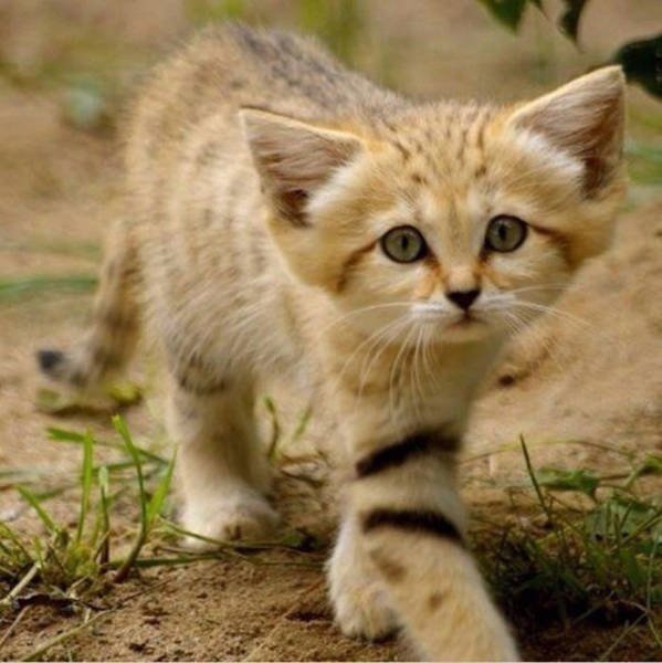 Interesting Photos (48 pics)
