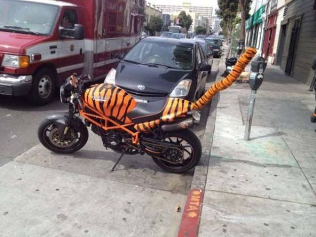 What Is Going On Here? (39 pics)