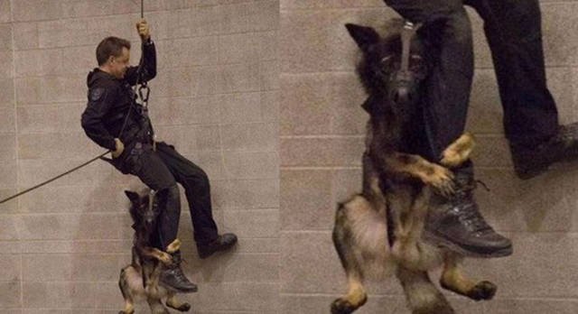 Interesting Photos (48 pics)