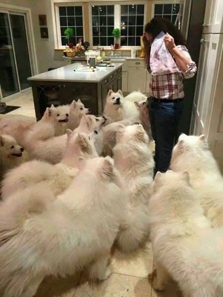 Interesting Photos (48 pics)