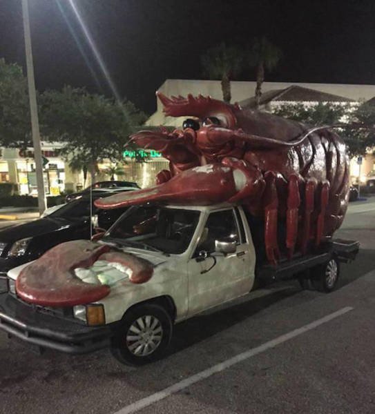 Odd Situations On The Road (32 pics)