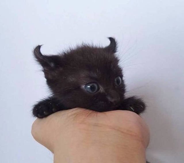 Interesting Photos (48 pics)