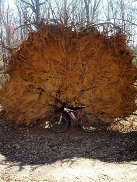 Interesting Photos (48 pics)