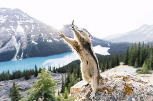 Interesting Photos (48 pics)