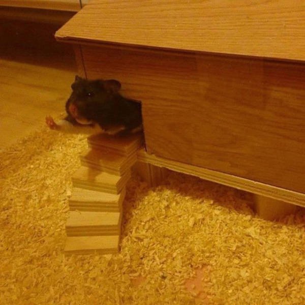 Interesting Photos (48 pics)