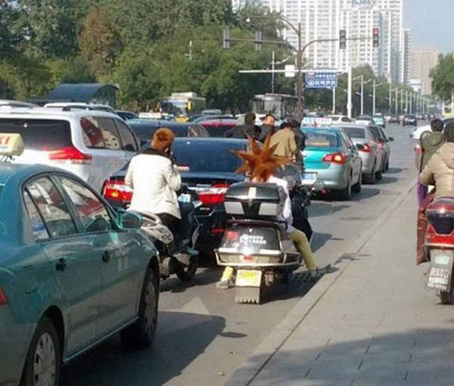 Odd Situations On The Road (32 pics)