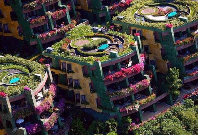 Interesting Photos (48 pics)